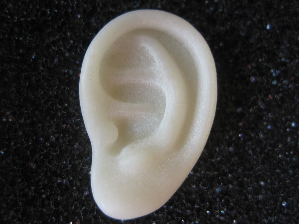 logo oreille
